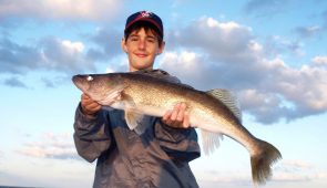 walleye 2